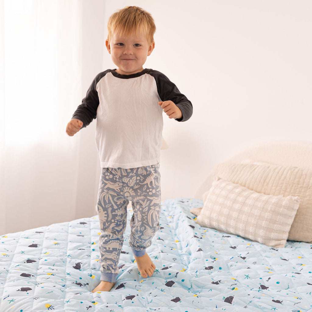 Leakproof Sheet + Bed Guard Set
