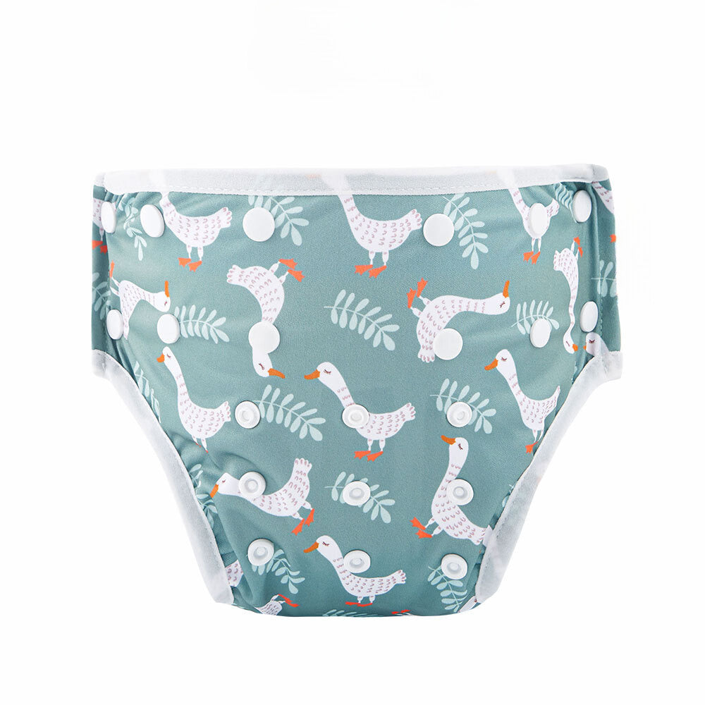 Swimming Nappies