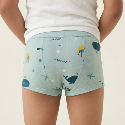 Toilet Training Underwear