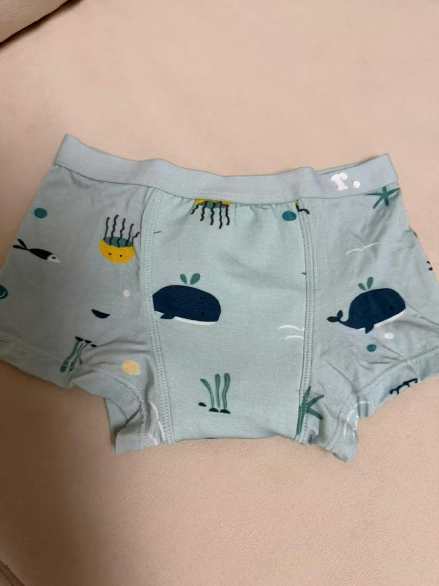 Toilet Training Underwear
