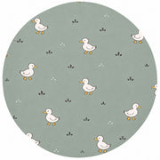 Ducks
