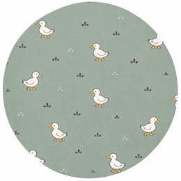 Ducks
