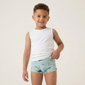 Toilet Training Underwear