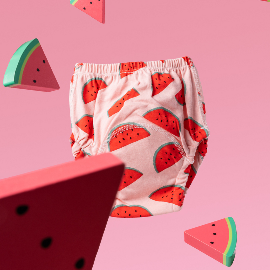 Toilet Training Pants